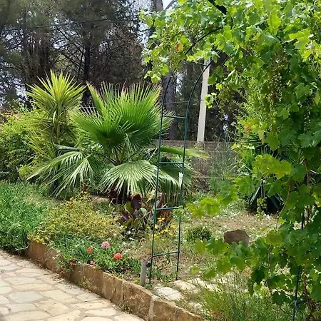 Magali Grande Terrasse Vue Mer, Jardin, Proche Port فيلة