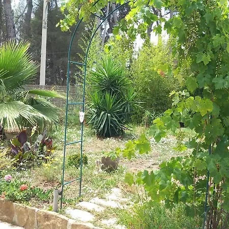 Magali Grande Terrasse Vue Mer, Jardin, Proche Port فيلة *